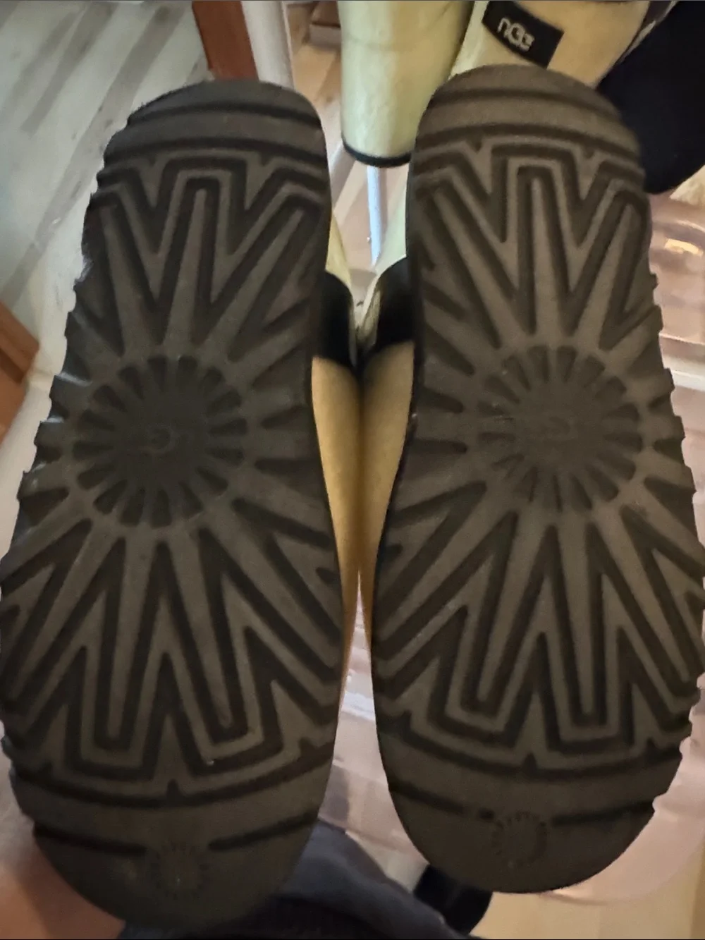 UGG ClearShearling-Lined Short Boots